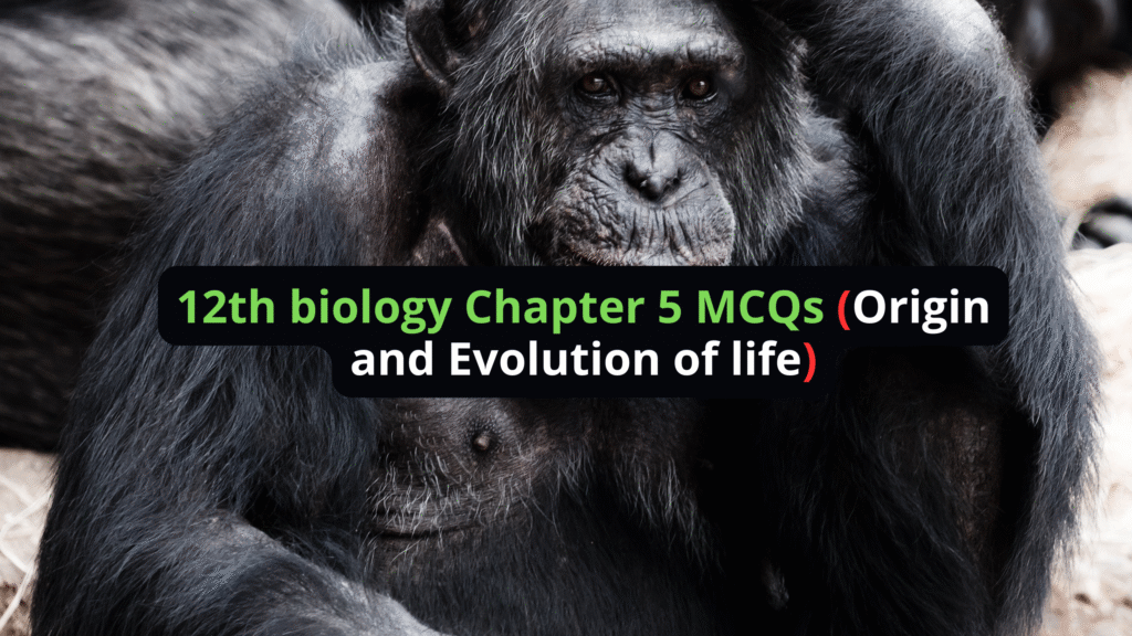 12th biology Chapter 5 MCQs ( Origin and Evolution of life )