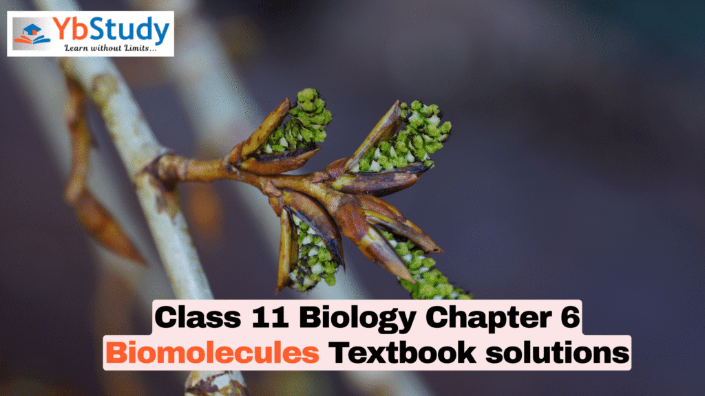 Class 11 Biology Chapter 6 Biomolecules Textbook solutions