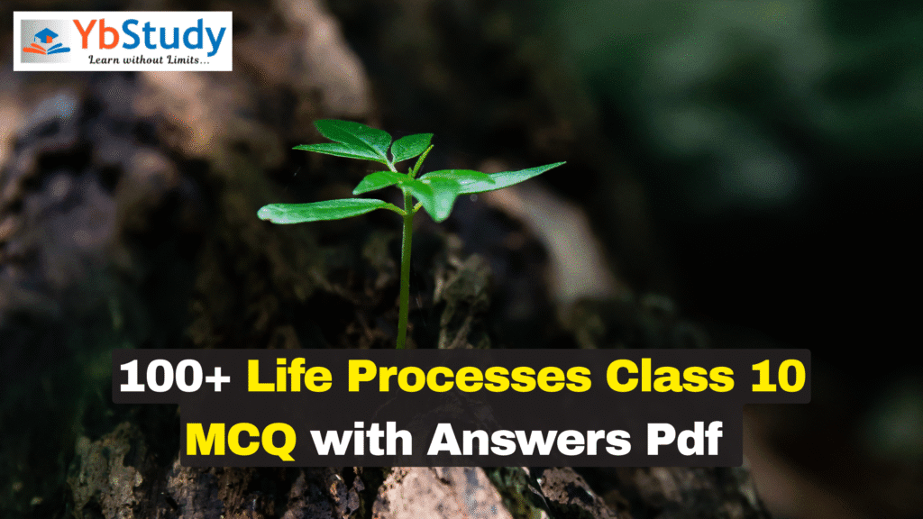 100+ Life Processes Class 10 MCQ with Answers Pdf