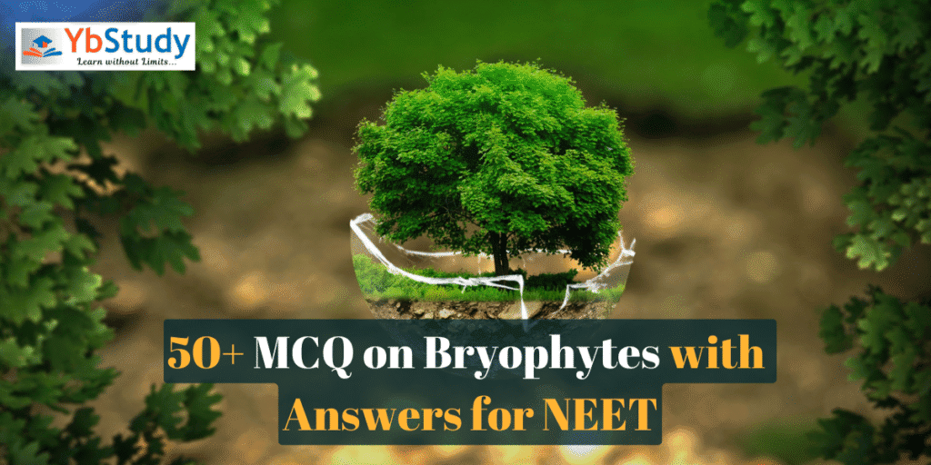 MCQ on Bryophytes with Answers for NEET