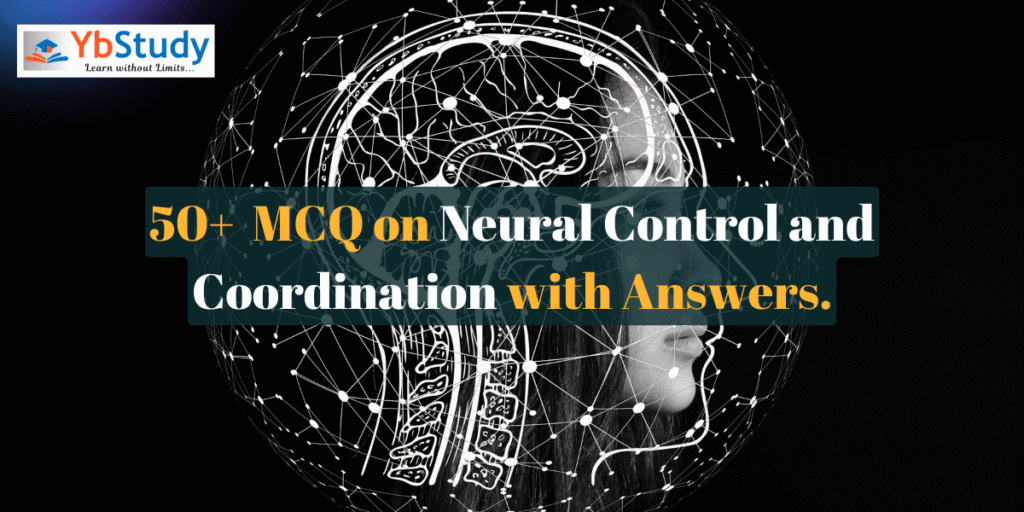 50+ MCQ on Neural Control and Coordination with Answers