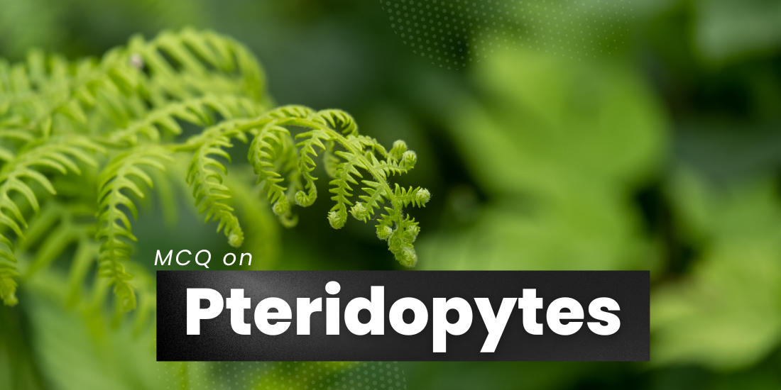 MCQ on Pteridophytes