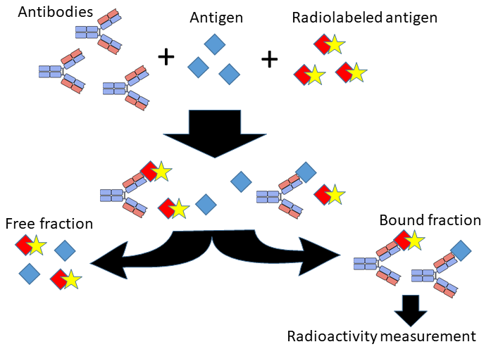 Radioimmunoassay Definition, History, Principle, Applications