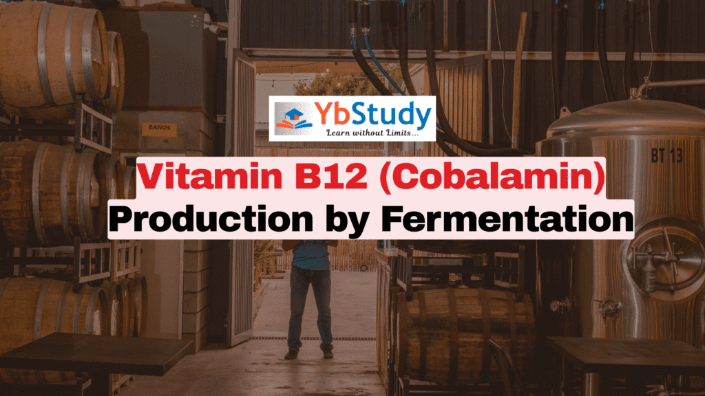 Vitamin B12 (Cobalamin) Production by Fermentation