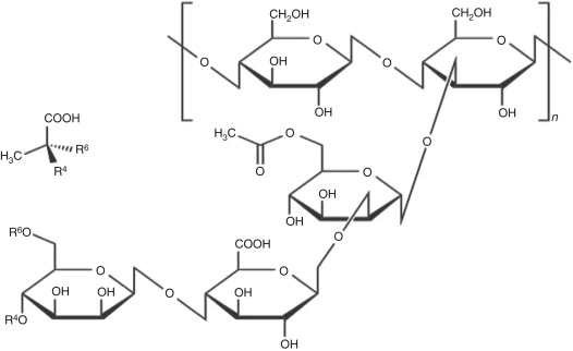 What is Xanthan Gum | Production of Xanthan Gum by Fermentation | Uses?