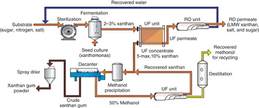 What is Xanthan Gum | Production of Xanthan Gum by Fermentation | Uses?