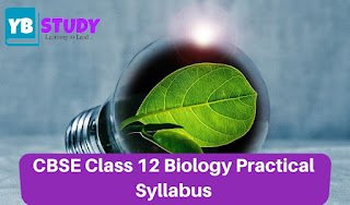 CBSE Class 12 Biology Practical Syllabus 2024-25