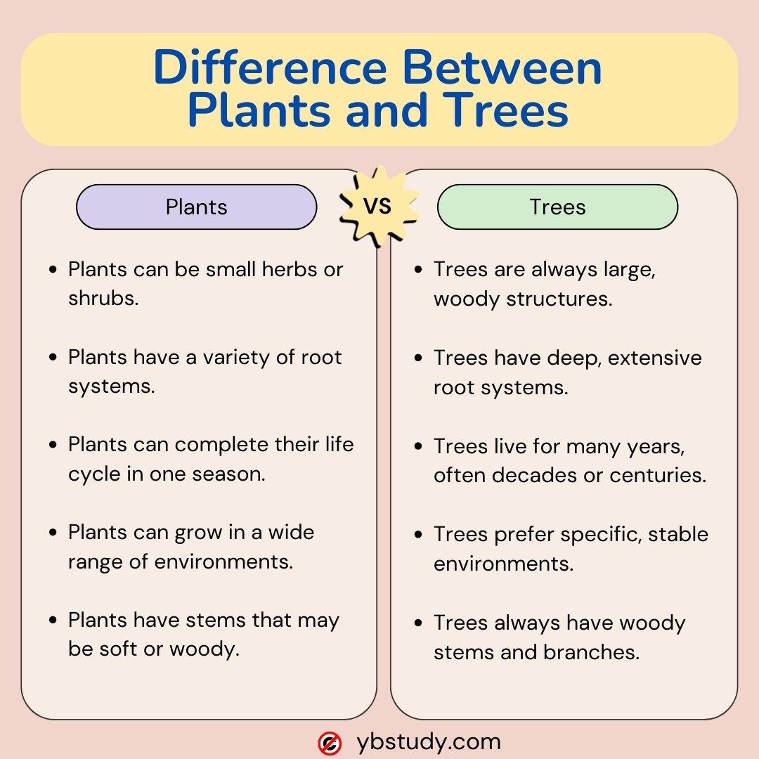 5 key difference between plants and trees pdf