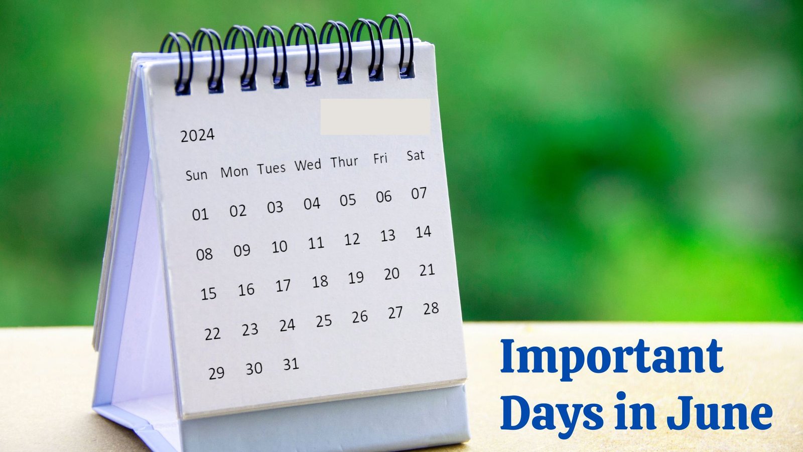 What Are the Most Important Days in June 2024 (National and International)